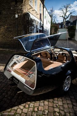 This Is The Most Insane Ferrari Shooting Brake In The World •  Petrolicious